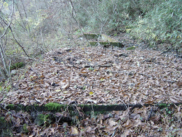 ����X�ѓS��,�ѓS,�p����,��������ԏ�,����,��b�R���N���[�g,����