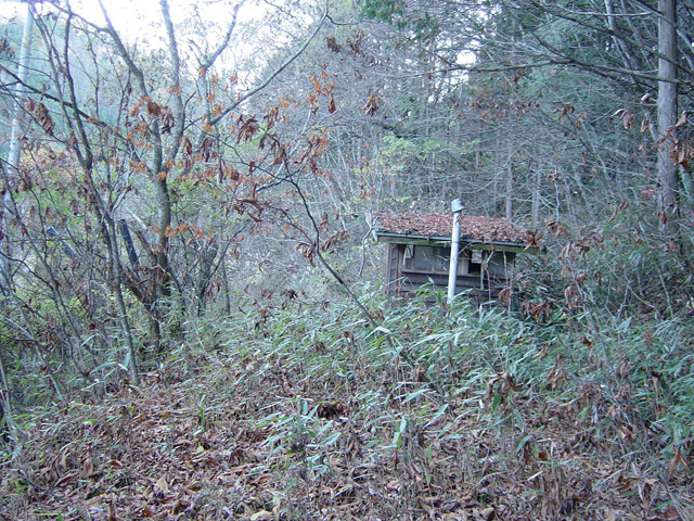 �ؑ]�X�ѓS�������,�ѓS,�p����,��������ԏ�,����,�H��