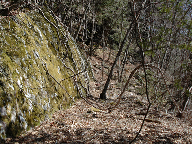 �ؑ]�X�ѓS�������,�ѓS,�p����,��������ԏ�,����,�H��,�㏼