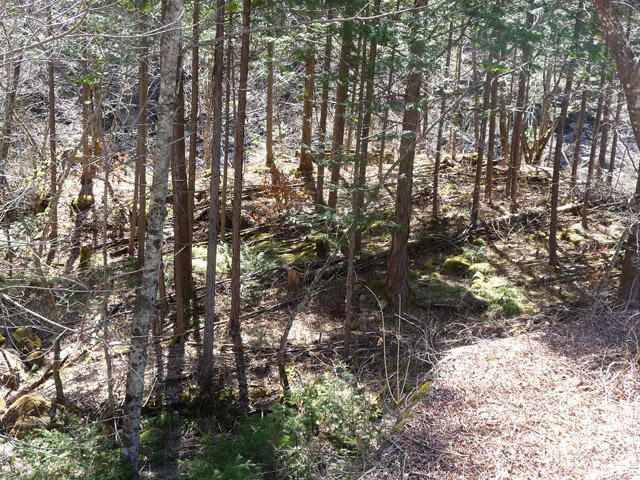 �ؑ]�X�ѓS�������,�ѓS,�p����,��������ԏ�,�X�C�b�`�o�b�N,�����̐�