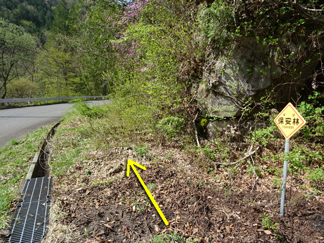 ����X�ѓS��,�ѓS,�p����,�H��,�ؑ]�X,�؍މ^���O����,�ѓ�