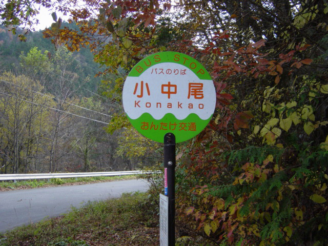 ����X�ѓS��,�ѓS,�p����,�������o�X��,�ؑ]�X,���񂽂����,���L��