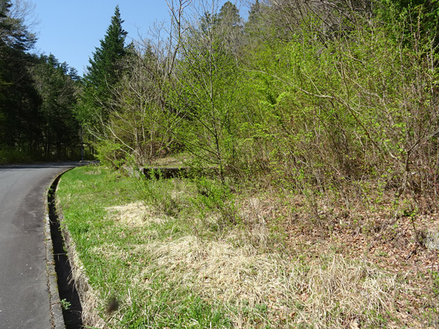 ����X�ѓS��,�ѓS,�p����,�㏼�^�A�c�я�,�ؑ],����,���a