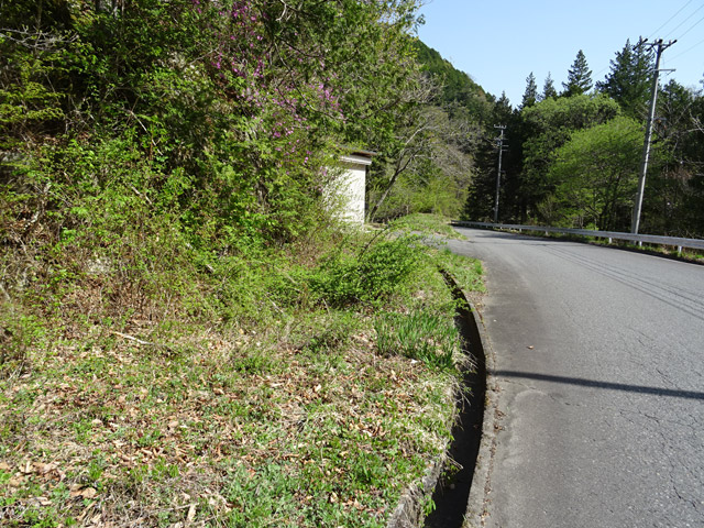 ����X�ѓS��,�ѓS,�p����,�㏼�^�A�c�я�,�ؑ],�ѓ�,�i���[�O��