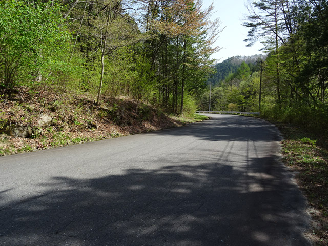 �ؑ]�X�ѓS�������,�ѓS,�p����,�㏼�^�A�c�я�,�y�؋O��,�㏼,�O����