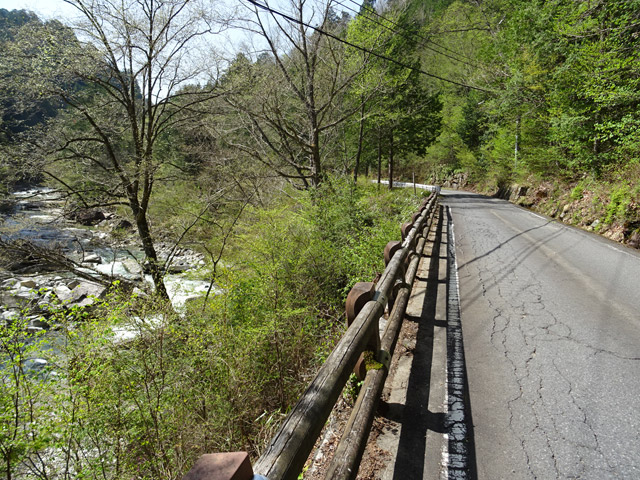 ����X�ѓS��,�ѓS,�p����,�ܖ��C��,�㏼�^�A�c�я�,�����X�ъǗ���,�i���[�O��