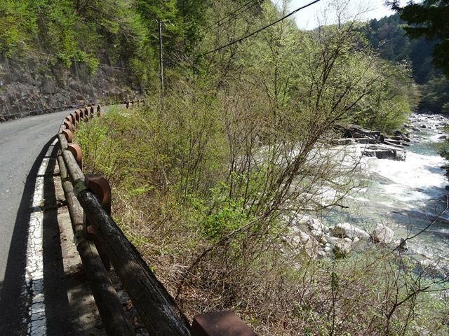 ����X�ѓS��,�ѓS,�p����,�ܖ��C��,�㏼�^�A�c�я�,�����X�ъǗ���,�i���[�O��