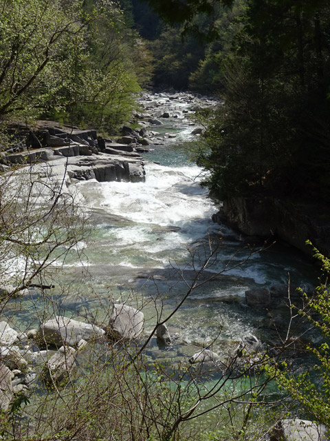 ����X�ѓS��,�ѓS,�p����,�ܖ��C��,�ؑ]���^�ޕ��@,����,�여��