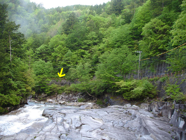 ����X�ѓS��,�ѓS,�p����,�ܖ��C��,�ؑ]���^�ޕ��@,�O����,�ѓ�