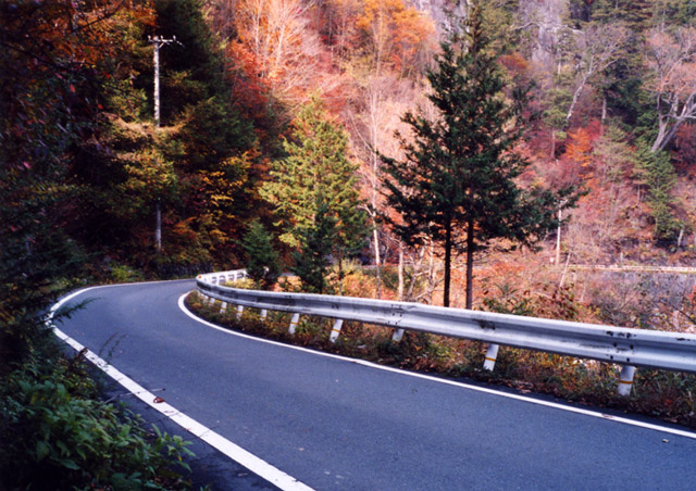 ����X�ѓS��,�ѓS,�p����,�O����,���L��,�ؑ]�X,�؍މ^���O����