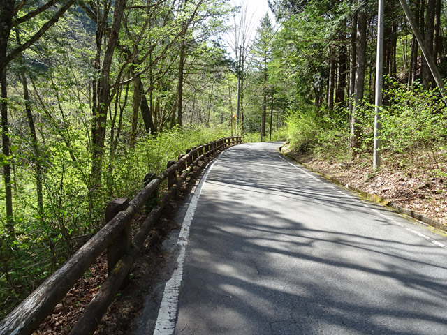 ����X�ѓS��,�ѓS,�p����,�O����,�㏼�^�A�c�я�,�ؑ]�X,�i���[�O����