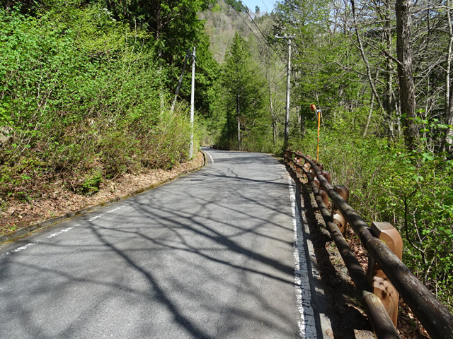 ����X�ѓS��,�ѓS,�p����,�O����,�ѓ�,�ؑ]�X,�i���[�O����