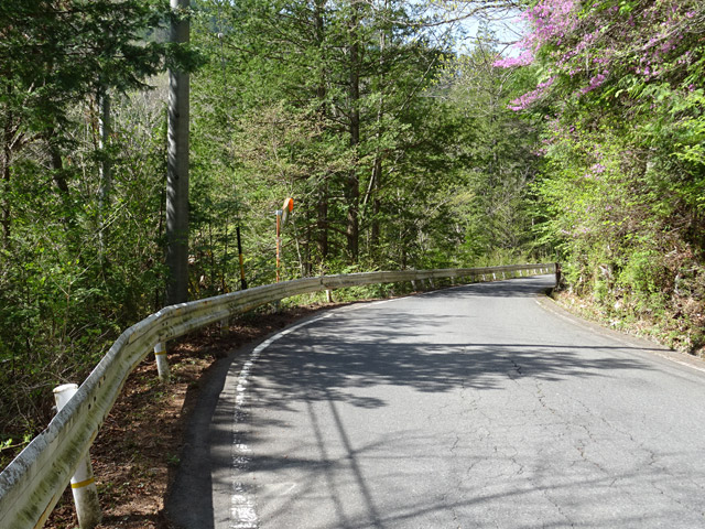 ����X�ѓS�������,�ѓS,�p����,����������,�Ȑ�,�O����