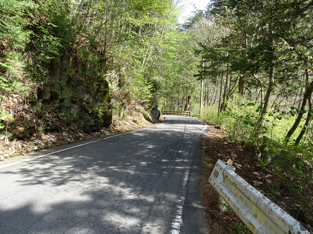 ����X�ѓS��,�ѓS,�p����,����������,�x��,����c�ы�,�i���[�O����