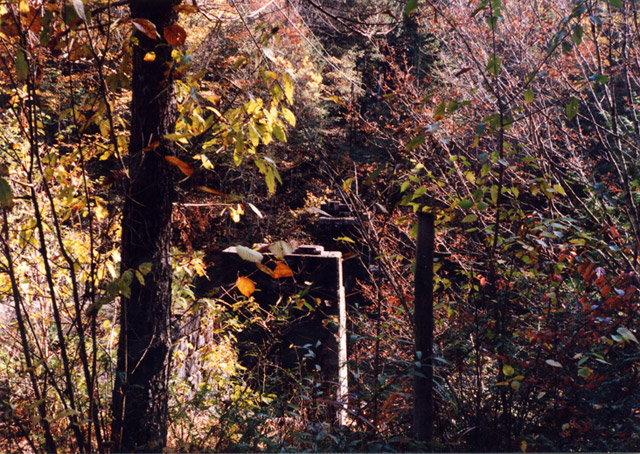 ����X�ѓS��,�ѓS,�p����,����������,���r,�㏼�^�A�c�я�,�O����