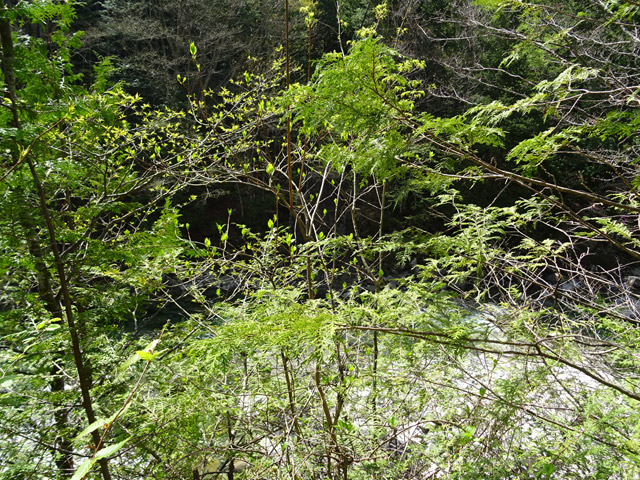 ����X�ѓS��,�ѓS,�p����,����������,��r�ʐ^,�Δ�,��_�ϑ�