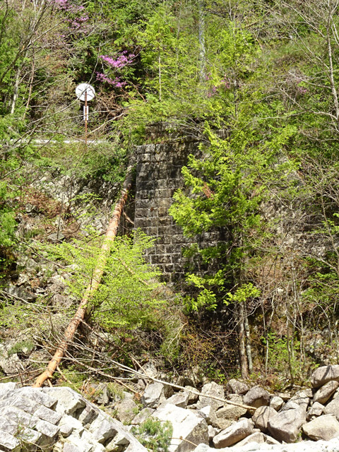 ����X�ѓS��,�ѓS,�p����,����������,�i���[�O����,����,�s�A