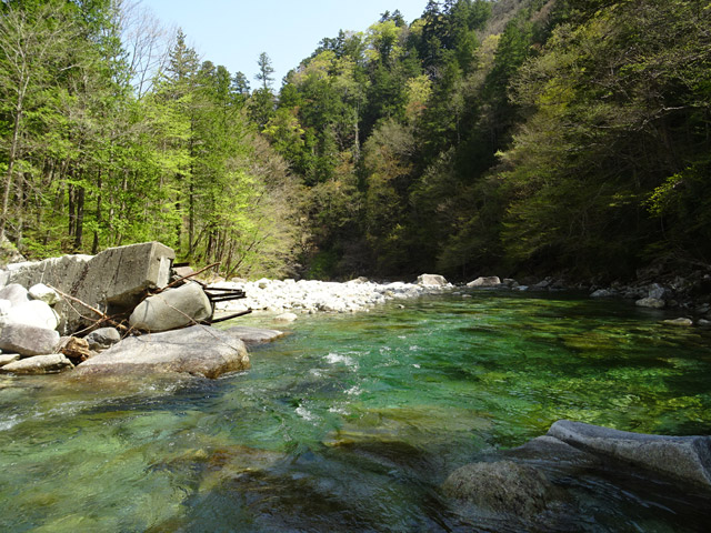 �ؑ]�X�ѓS�������,�ѓS,�p����,����������,�k��,�i���[�O��