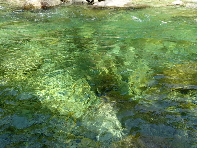 ����X�ѓS��,�ѓS,�p����,����������,���r,����,�V���G�b�g