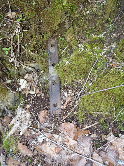 ����X�ѓS��,�ѓS,�p����,����������,�p�ڔ�,�y�[�V,���[��