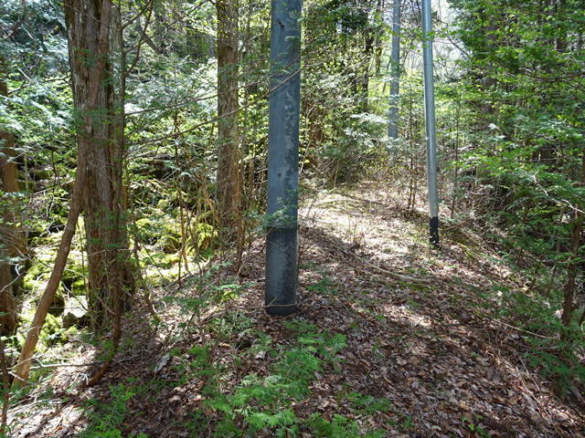 ����X�ѓS�� �ѓS �p���� �H�� �㏼�� ���� �؍މ^���O����