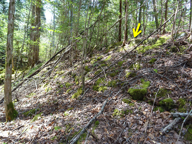 ����X�ѓS�� �ѓS �p���� �@�� �㏼�^�A�c�я� �z�� �i���[�O����