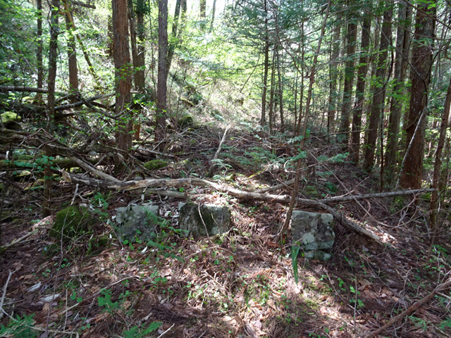 ����X�ѓS�� �ѓS �p���� �㏼�^�A�c�я� �㏼�� ���� �؍މ^���O����