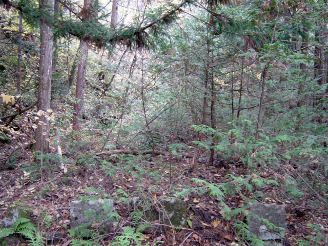 ����X�ѓS�� �ѓS �p���� �㏼�^�A�c�я� ��r�ʐ^ �H�� �؍މ^���O����