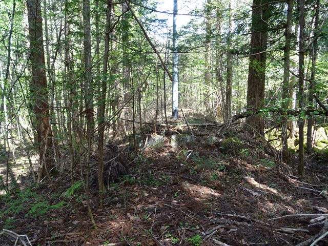 �ؑ]�X�ѓS������� �ѓS �p���� �㏼�� ���� �c�я��O����