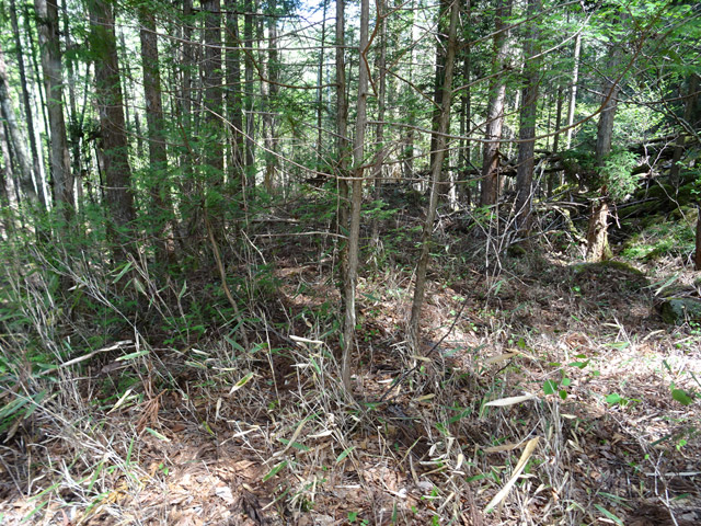 �ؑ]�X�ѓS������� �ѓS �p���� �㏼�^�A�c�я� �H�� �؍މ^���O����