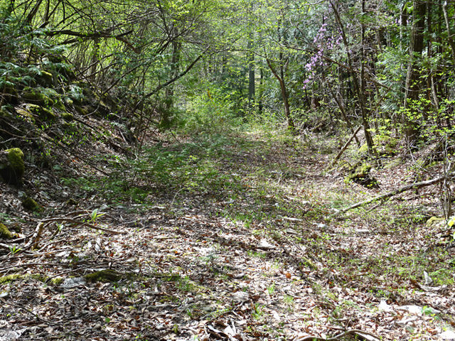 �ؑ]�X�ѓS������� �ѓS �p���� �㏼�^�A�c�я� ��Ɠ� �؍މ^���O����