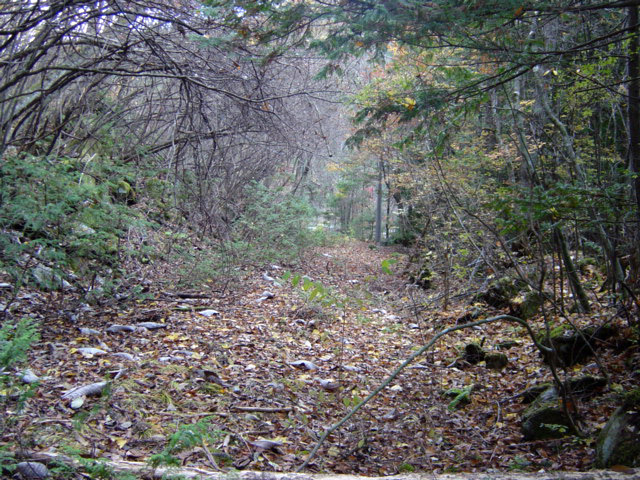 �ؑ]�X�ѓS������� �ѓS �p���� �㏼�� ��Ɠ� �i���[�O����