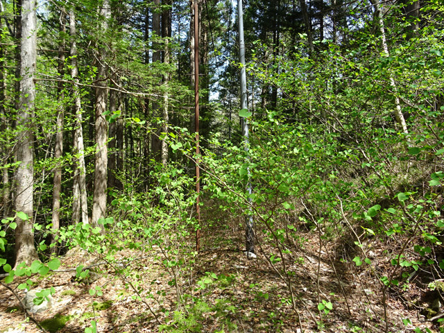 �ؑ]�X�ѓS������� �ѓS �p���� �d�� ���[���� �i���[�O����