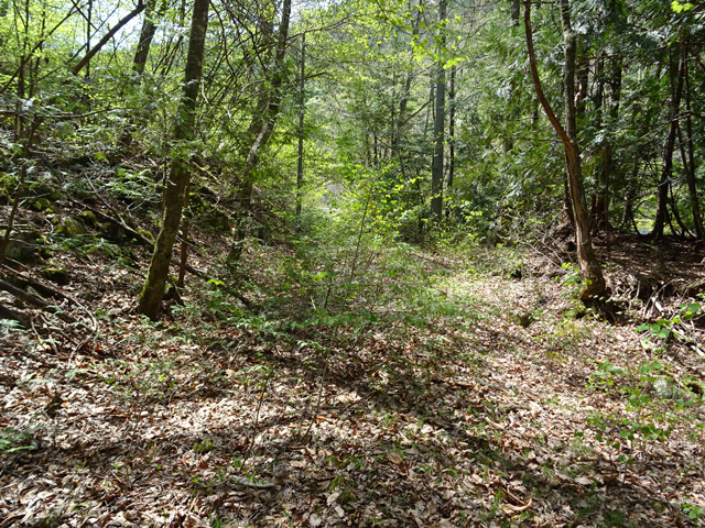 ����X�ѓS�� �ѓS �p���� �㏼�� ���L�� �H�� �c�я��O����