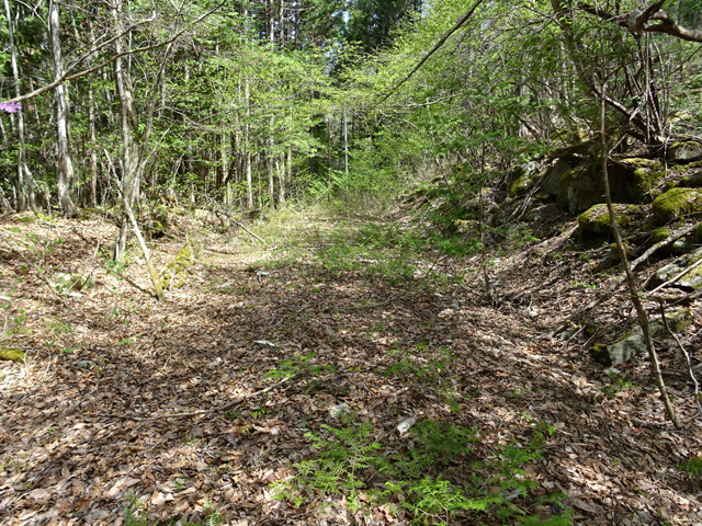 ����X�ѓS�� �ѓS �p���� �؍މ^���O���� �㏼�^�A�c�я� �H�� ����