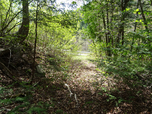 ����X�ѓS�� �ѓS �p���� �g���b�R�O���� �㏼�^�A�c�я� �H�� �㏼��