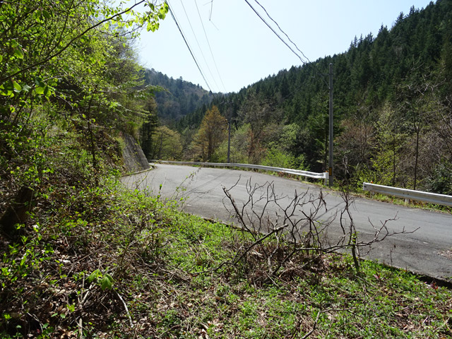 ����X�ѓS�� �ѓS �p���� �c�я��O���� �㏼�� �ѓ� �ԓ���