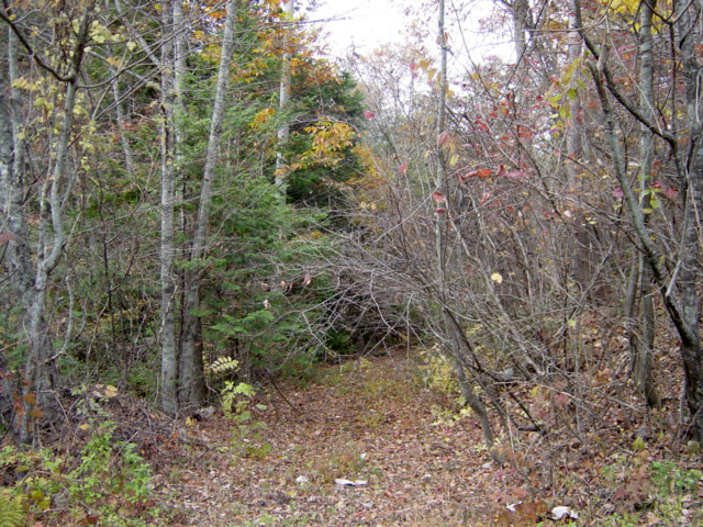 �ؑ]�X�ѓS�������,�ѓS,�p����,�㏼�^�A�c�я�,�y�؋O��,�㏼,�O����