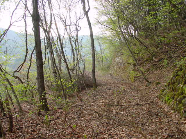 ����X�ѓS��,�ѓS,�p����,�ؑ]��,����,�t�֐�,�؍މ^���O����