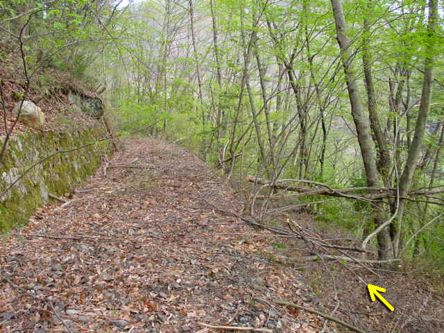 ����X�ѓS��,�ѓS,�p����,����,����,�t�֐�,�؍މ^���O����