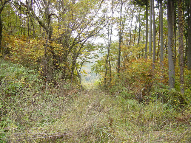 ����ѓS,�X�ѓS��,�p����,�ؑ]��,�t�֐�,����,�ѓ�