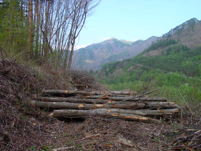 �ؑ]�X�ѓS�������,�ѓS,�p����,���̎ʐ^,�؍މ^���O����,����