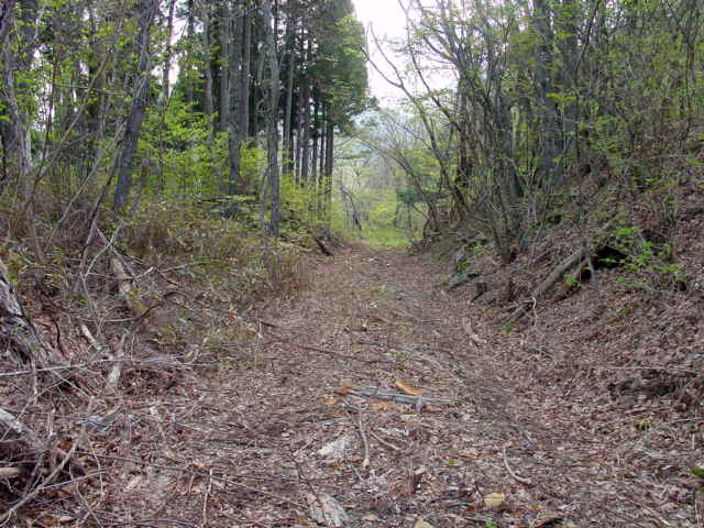 �ؑ]�X�ѓS�������,�ѓS,�p����,����,2�t�B�[�g6�C���`,����