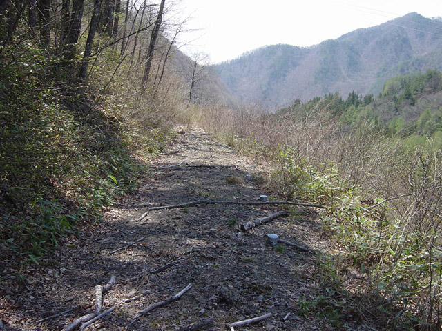 �ؑ]�X�ѓS�������,�ѓS,�p����,����,��_�ϑ�,1����