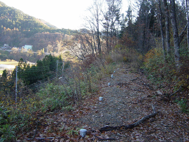 �ؑ]�X�ѓS�������,�ѓS,�p����,�㏼�^�A�c�я�,�H��,1����