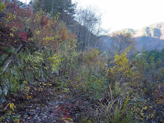 ����X�ѓS��,�ѓS,�p����,�i���[�Q�[�W,����,�t�֐�,�Ί_