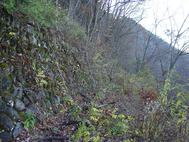 ����X�ѓS��,�ѓS,�p����,�i���[�Q�[�W,����,�ؑ]��,�Ί_