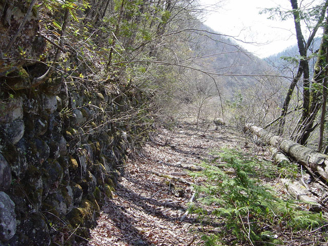 ����X�ѓS��,�ѓS,�p����,����,����,�Ί_