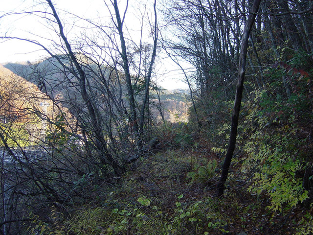 ����X�ѓS��,�ѓS,�p����,����,����,�y�֋O��