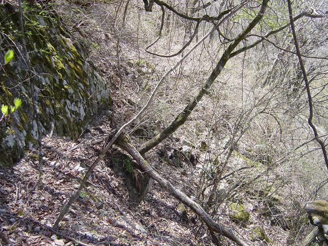 ����ѓS,�X�ѓS��,�p����,�؍މ^���O����,����,����